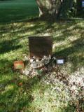 image of grave number 268422